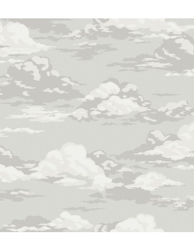 Papel pintado Ashdown Cumulus M1810