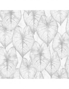 Papel Pintado Kemen Amazonia II 2936 2