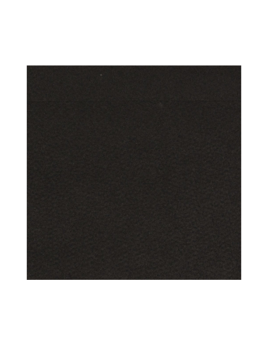 Moqueta Ferial Hit Negro 955 (Rollo...