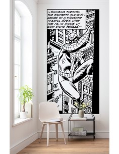 Into Adventure Komar Spider-Man Classic Climb IADX2-085