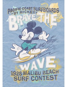 Into Adventure Komar Mickey Brave the Wave IADX4-014 2