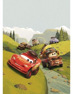 Into Adventure Komar Cars Camping IADX4-034 2