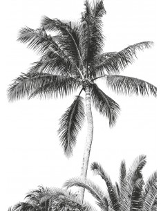 Fotomural Into Adventure Komar Retro Palm IAX4-0011 2