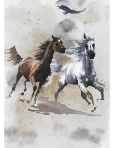 Fotomural Into Adventure Komar Wild Ride IAX4-0030 2