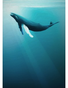 Fotomural Into Adventure Komar Artsy Humpback Whale IAX4-0045 2