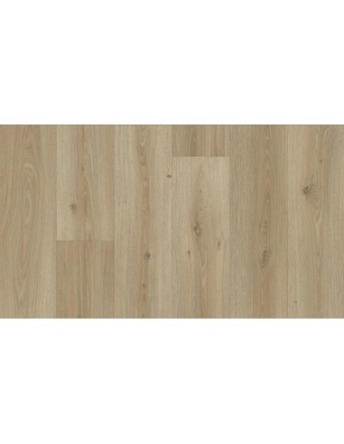 Suelo Vinílico Tarkett Iconik 240 Powell Oak Bronze (Rollo 50 M2)