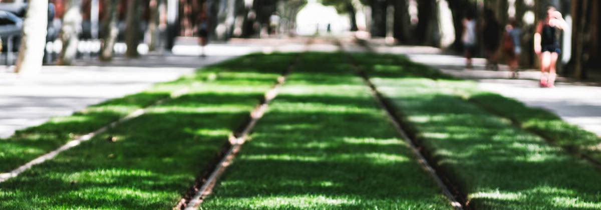 Instalación de césped artificial paso a paso: corte, unión de piezas y cepillado final