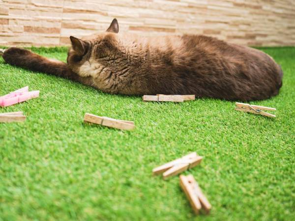 Niños jugando en jardín con césped artificial de alta densidad, seguro para uso intensivo